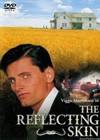 The Reflecting Skin (1990)2.jpg